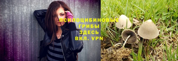 а пвп мука Абаза