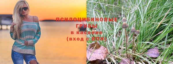 стаф Гусев