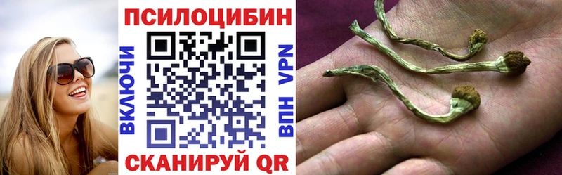 Псилоцибиновые грибы Cubensis darknet Telegram Сольвычегодск где купить мега как зайти