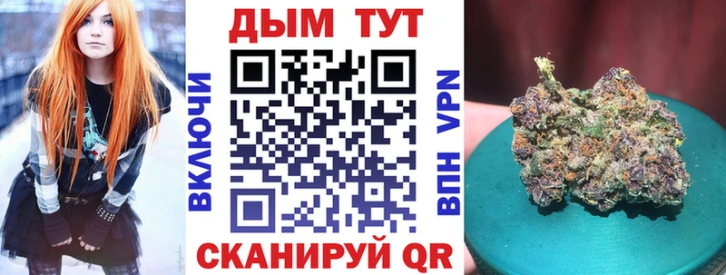 купить закладку  Сольвычегодск  Бошки марихуана Ganja 